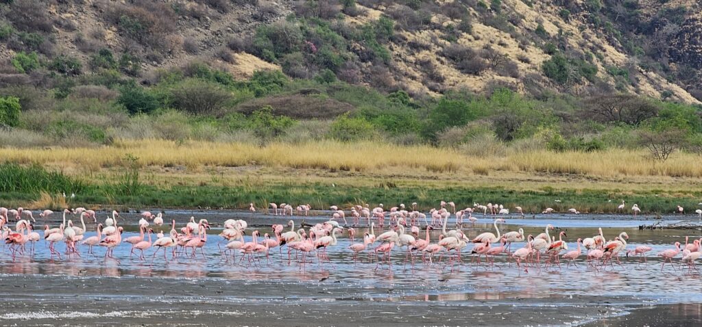 Top 5 Hidden Gems to Visit in Tanzania