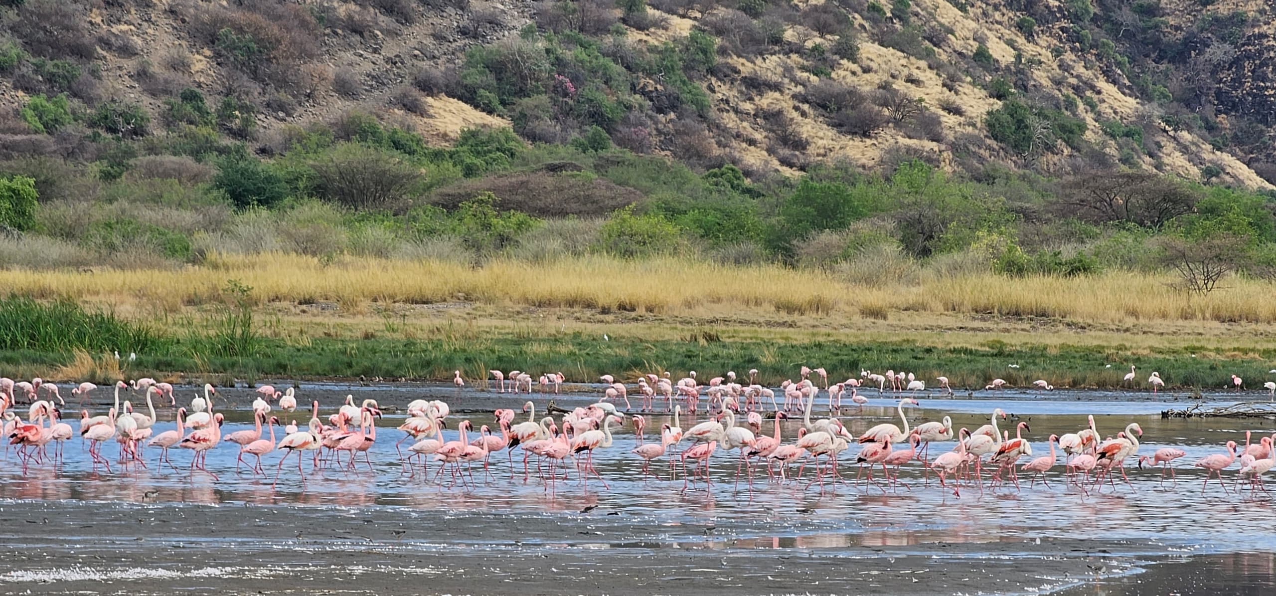 Top 5 Hidden Gems to Visit in Tanzania in 2025