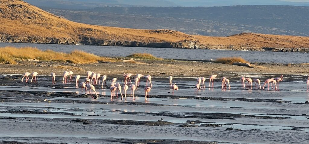 Top 5 Hidden Gems to Visit in Tanzania